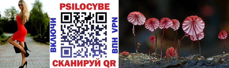 Галлюциногенные грибы Magic Shrooms  Вышний Волочёк 